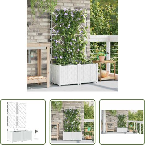Macetero de acero -  Macetero de Jardín 2 pcs Acero