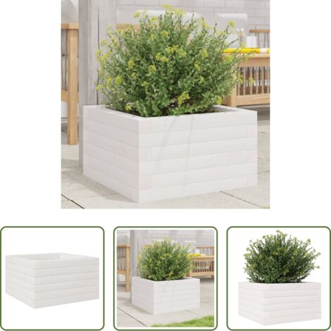 Macetero de jardín -  Jardinera de madera maciza de pino blanca 40x40x23 cm