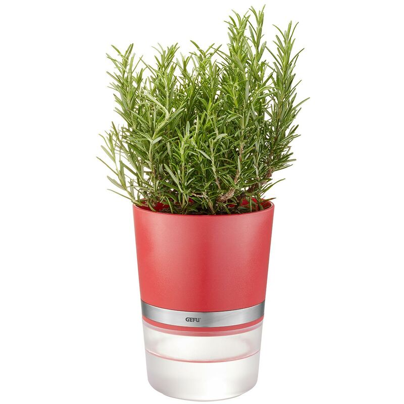 

Macetero para hierbas BOTANICO Rojo frambuesa - Gefu