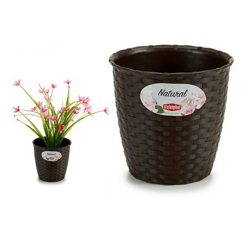 

Bh Design - Macetero Stefanplast Plástico Chocolate (14 x 12,5 x 14 cm) (14 x 13 x 14 cm)