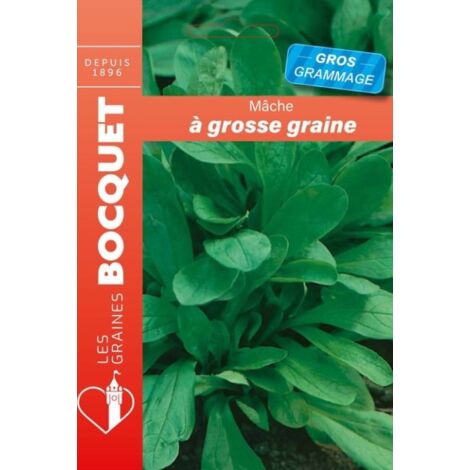 Mâche à grosse graine gros grammage - 15g