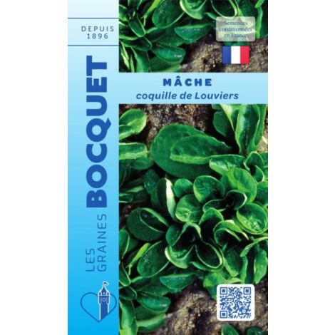 Mâche Coquille de Louviers - 5g
