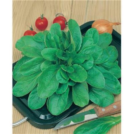 MACHE VERTE COEUR PLEIN 3 VOLHART - 10 G - GRAINES