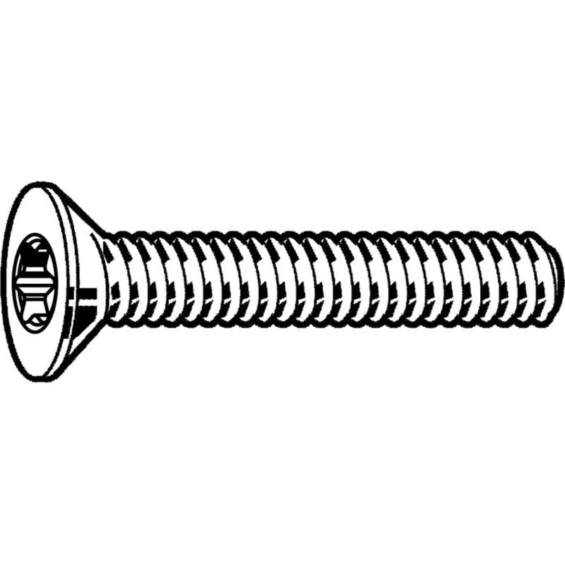 M5X12 Torx Countersunk Screw A2- you get 50 - Qualfast