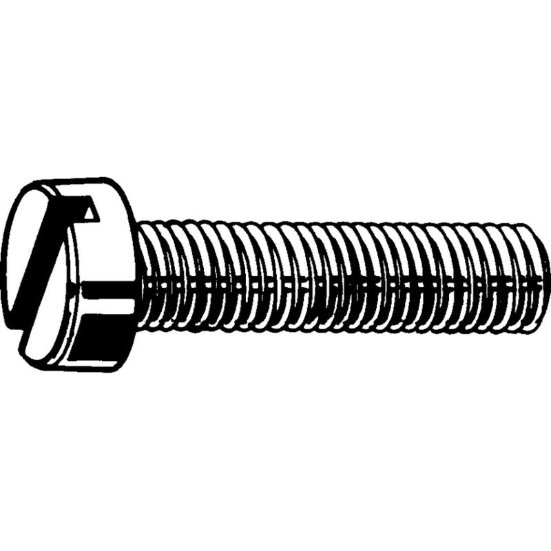 M5X10 Slotted Cheese Head Screw Nylon pa (GR-6.6)- you get 50 - Qualfast