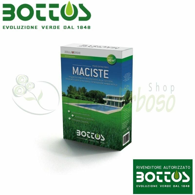 Bottos - Maciste - Graines pour pelouse-1 Kg