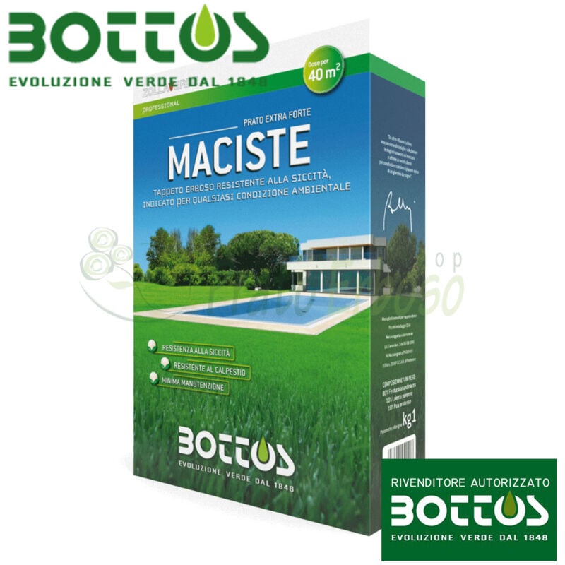 Bottos - Maciste - Sementi per prato da 1 Kg