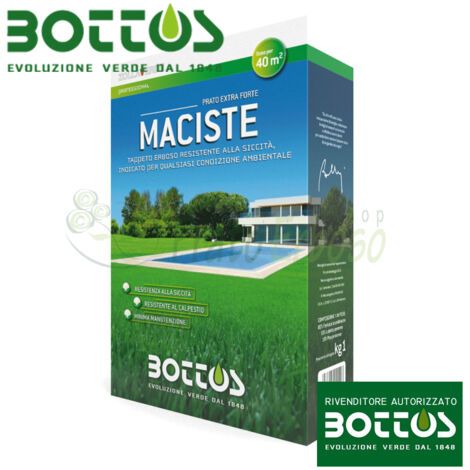 Maciste - Sementi per prato da 1 Kg