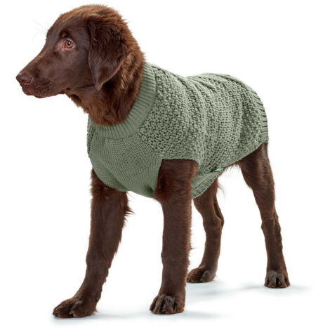 Maglione per Cani Hunter Malmö Verde