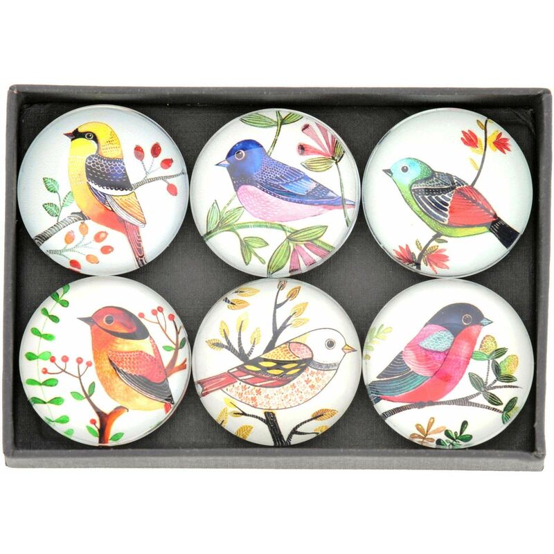 Magnet oiseaux colorés (Lot de 6)