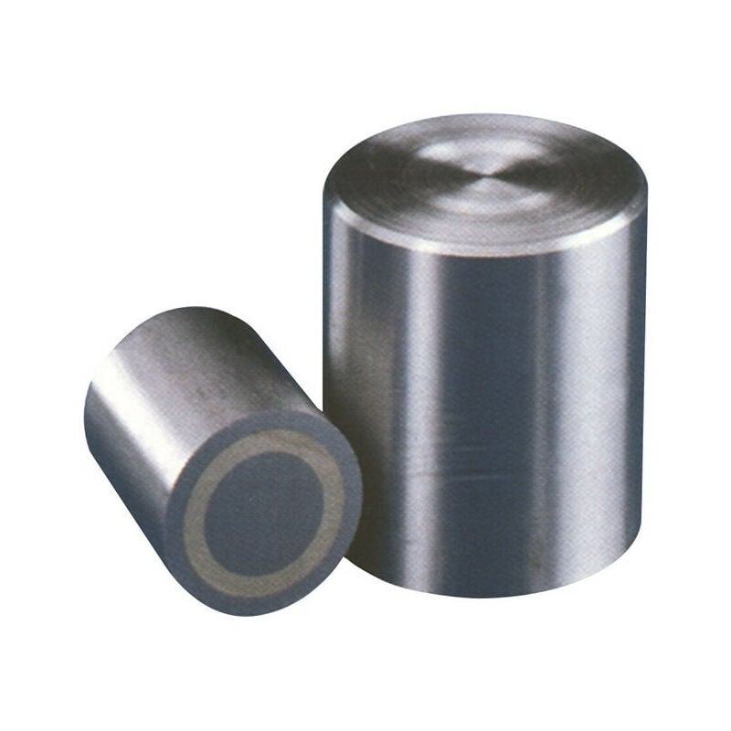 Magnete cilindrico D8xH12mm adesione liscia 4N