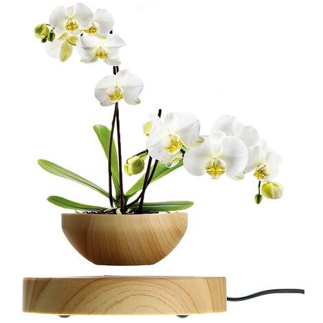 Magnetic Levitating Flowerpot Air Bonsai Pot Floating Rotating Plant Pot for Home Office Room Desk Display Decor (Not Include Plant),model: UK Plug