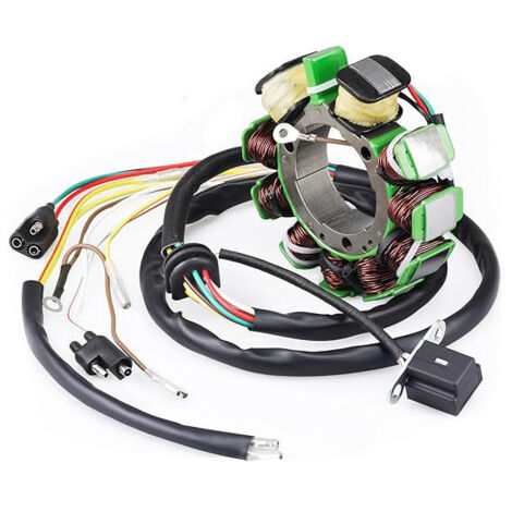 Magnetische Zündspule 3085561 3086821 für Motorrad, kompatibel mit POLARIS 500