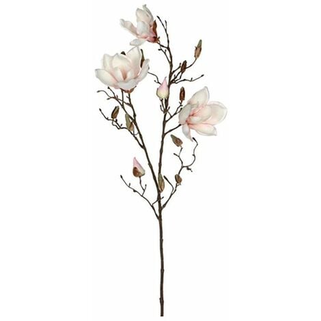 Magnolia Rose 88cm