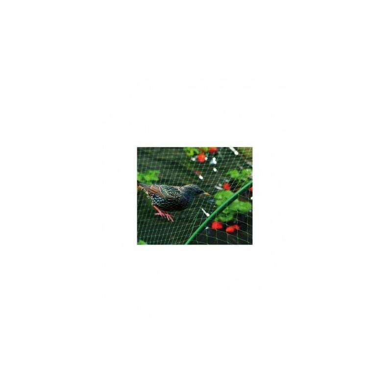 Nortene - birdnet maille anti-oiseaux (5380) 4X12M vert X12
