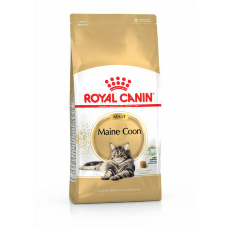 Maine Coon - 10kg