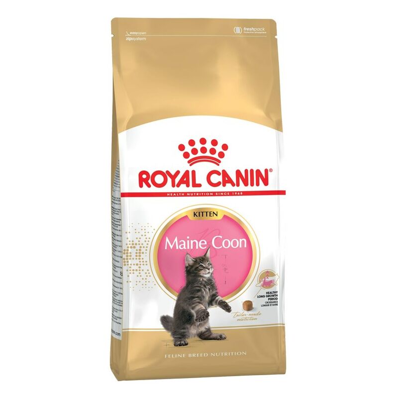Royal Canin - Maine Coon Chaton nourriture sèche pour chats 2 kg