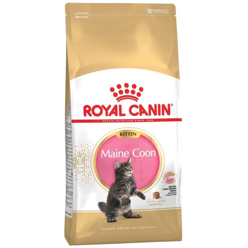 Royal Canin - Maine Coon Chaton nourriture sèche pour chats 2 kg Royal Canin - Maine Coon Chaton nourriture sèche pour chats 2 kg