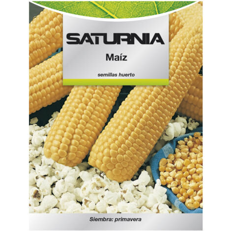 Mais-Obstgarten-Samen