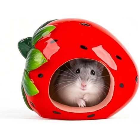 maison céramique fraise pour hamster 12 x 12 x 9 cm nid rongeur - maison céramique fraise pour hamster 12 x 12 x 9 cm nid rongeur