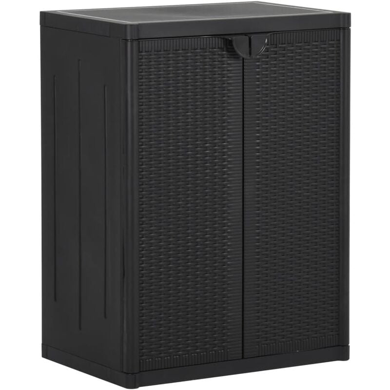 Furniture Limited - Armoire de rangement de jardin Noir 65x45x88