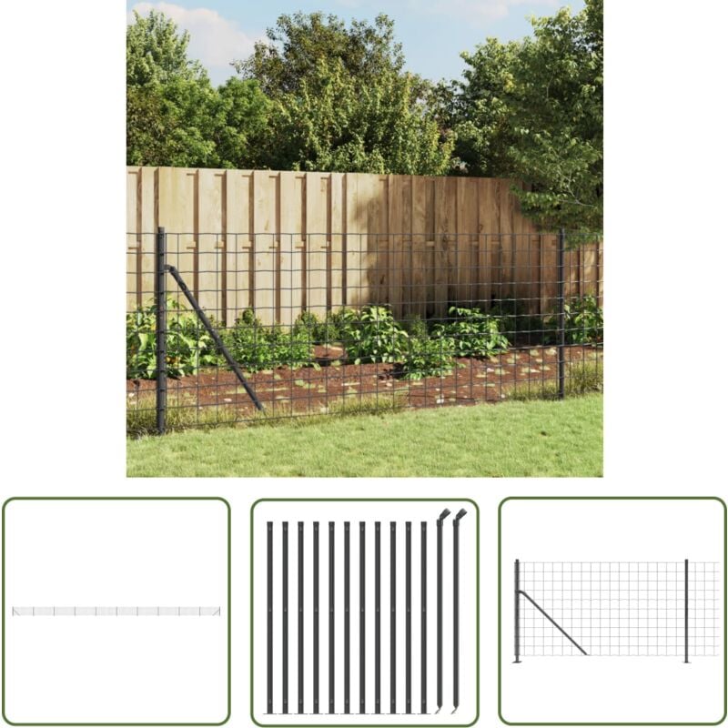 Jinlefu - The Living Store Clôture en treillis métallique avec bride anthracite 1x25 m - Clôture Métal - Clôture Jardin - Clôture Rigide - Clôture