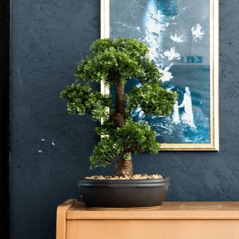 Furniture Limited - Mini bonsaï Ficus artificiel sur plaque