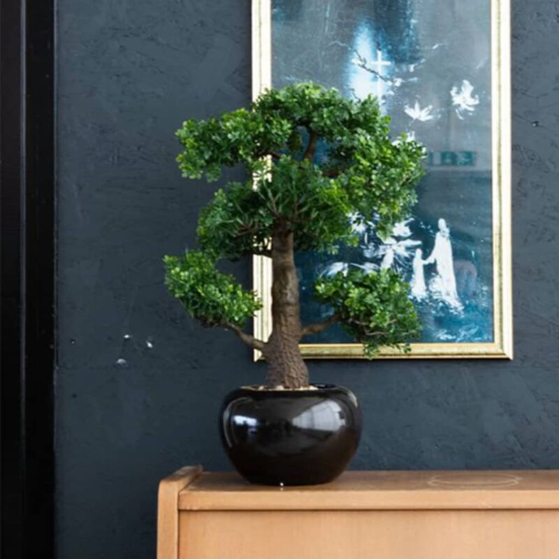 Prolenta Premium - Maison du'Monde - Mini bonsaï Ficus artificiel Vert 47 cm 420006