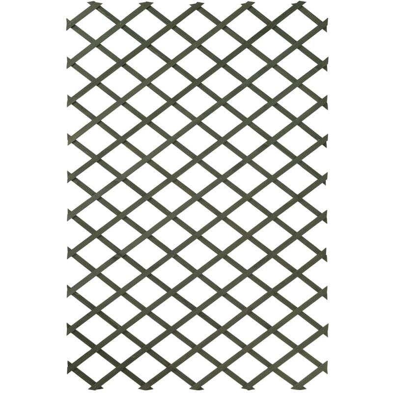 Furniture Limited - Palissade de jardin 100 x 200 cm Bois Vert