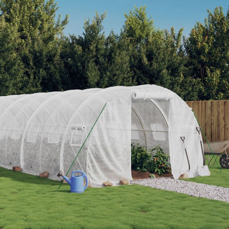 Furniture Limited - Serre avec cadre en acier blanc 60 m² 20x3x2