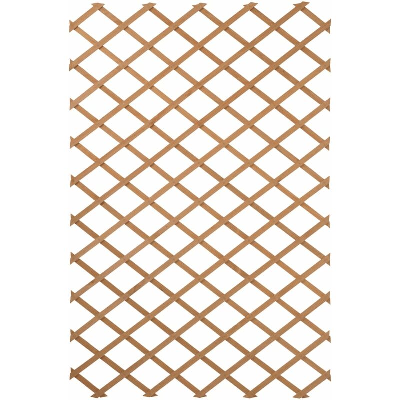 Prolenta Premium - Furniture Limited - Treillis de jardin 100 x 300 cm Bois Marron