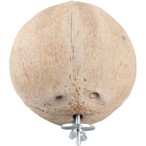 Maison pour Animaux - Coconut Shell House Cage - Hammock coconaturelle - Paniers cage hamster écureuil oiseaux, Diamètre 2-16 cm, 1 pièce
