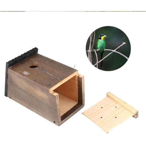 Maisonnette à oiseaux en bois suspendue DIY pour perruches - Nichoir de jardin extérieur décoratif