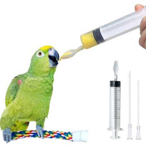 Maisseur manuel, lait, aliment liquide, réutilisable, tête de cuillère + tube alimentaire de 8 cm + tube d'alimentation de 12 cm + seringue 20 ml