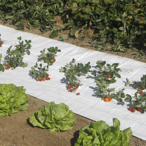 MALLA ANTIHIERBAS GROUNDSOL 120 G BLANCO NORTENE 3.3X100 M