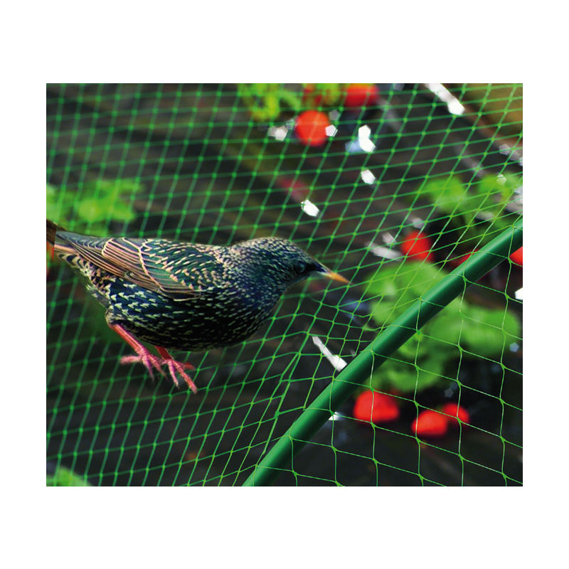 

Malla antipájaros verde Birdnet 5380 2x10 Mt - Nortene
