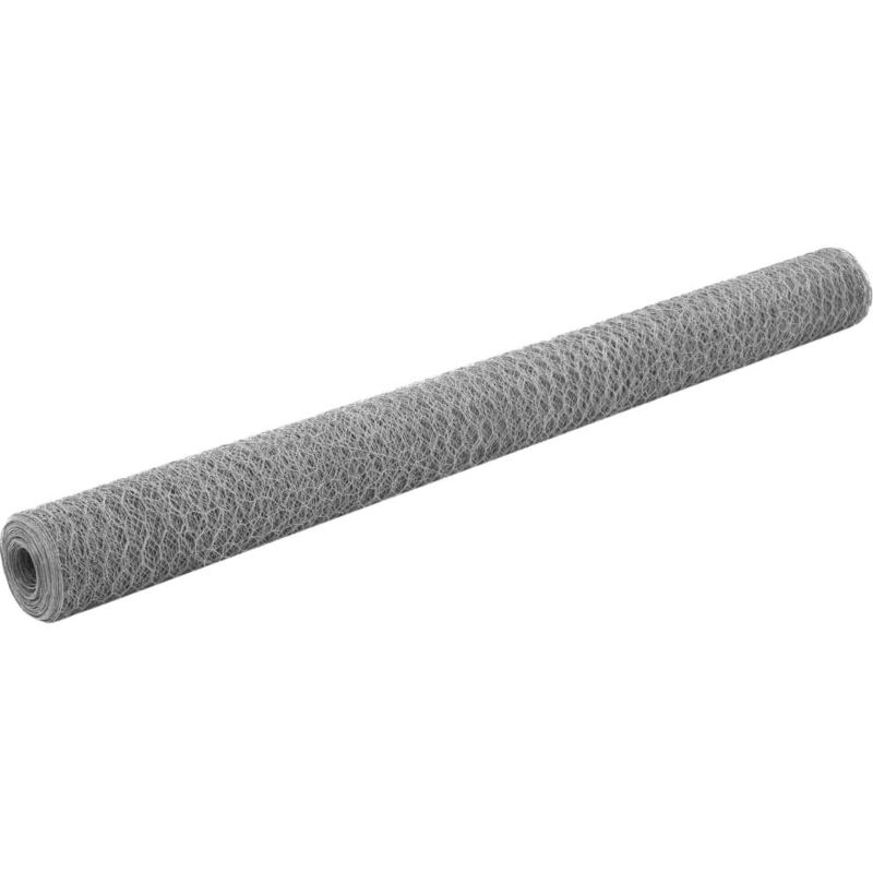

Alambrada de gallinero acero galvanizado plateado 25x1,5 m - Plateado - Vidaxl