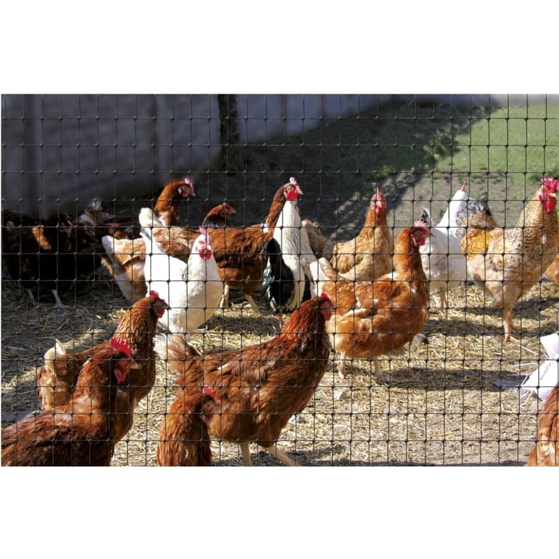 

Malla plástica para aves Cintoflex 1x10m. negra