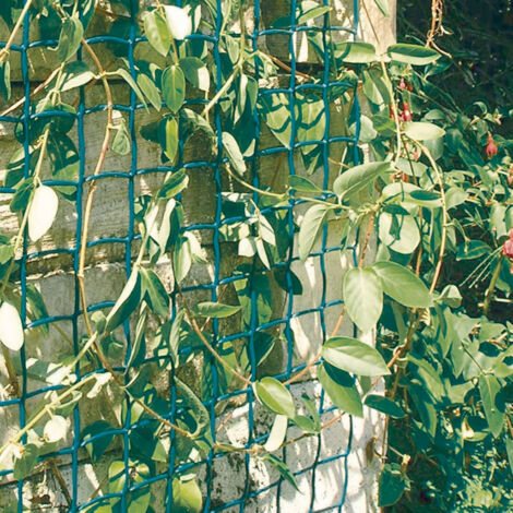 MALLA PLASTICA CUADRADA COLGANTE CLIMBANET VERDE NORTENE 1X25 M