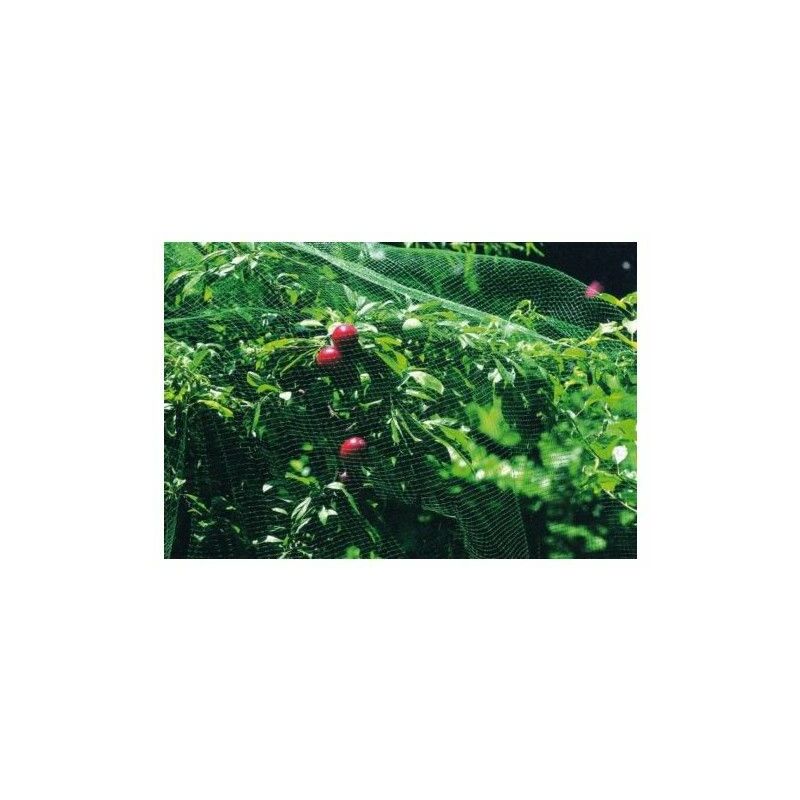 

Malla Anti-Pajaro 8X10Mt Plastico Negro