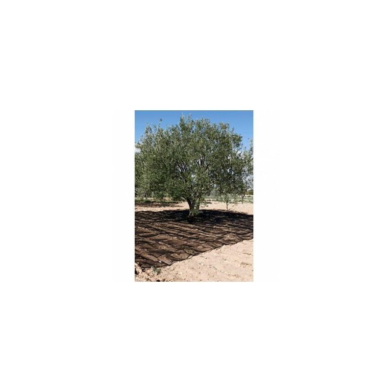 

Malla Recol. 5x10mt Aceitunas Ne Confecc. Nt128214 - Natuur