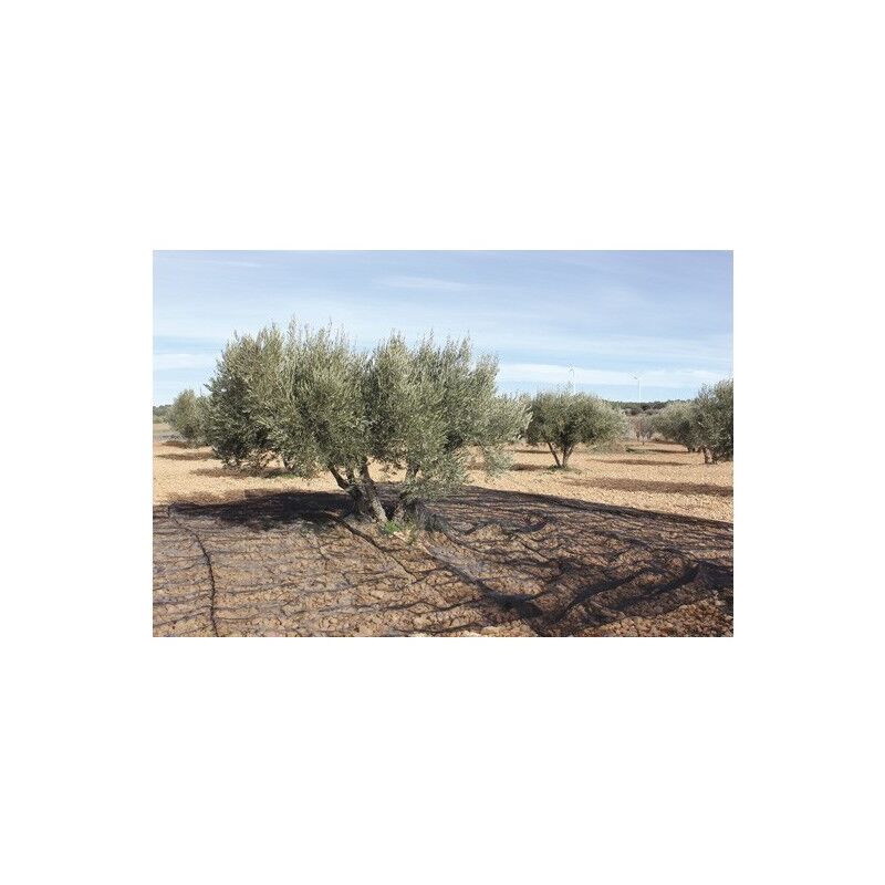 

Malla Recolecion 6X12Mt Aceitunas Negro - Natuur