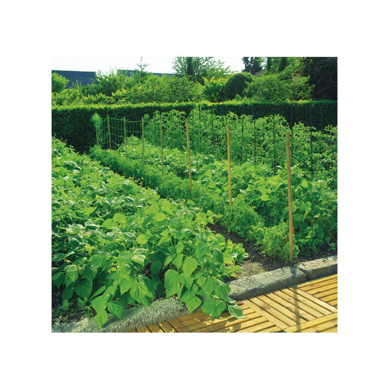 

Malla Entutor Trellinet 35/2X100 Verde
