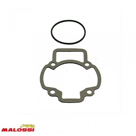 malossi motordichtung für roller piaggio 50 typhoon 11 7570 neu