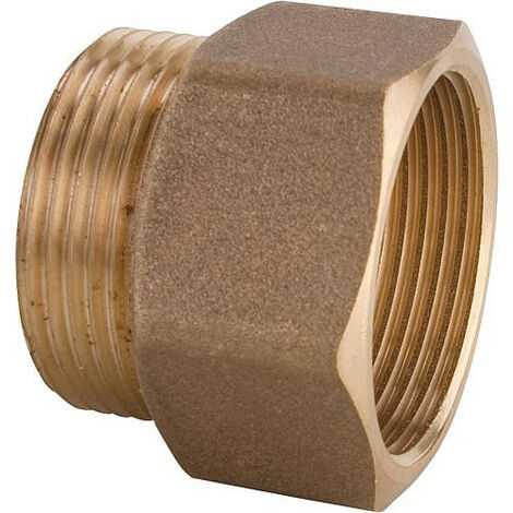 Mamelon 1" male x 1" femelle DN20