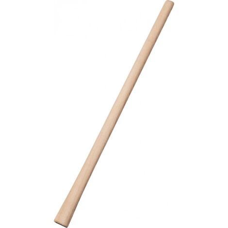Manche a pioche pour 3kg CircumPro