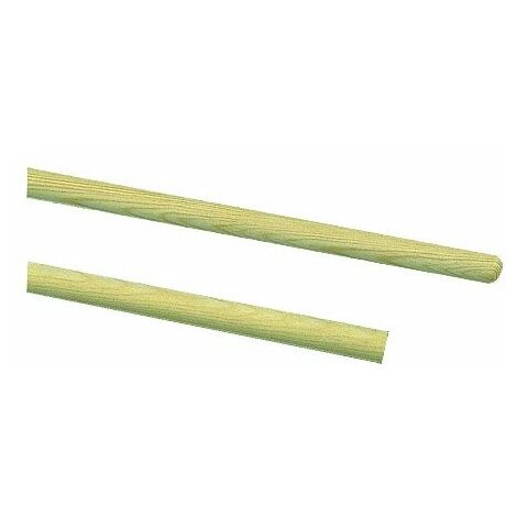 Manche Balai Coco A Vis 1m25