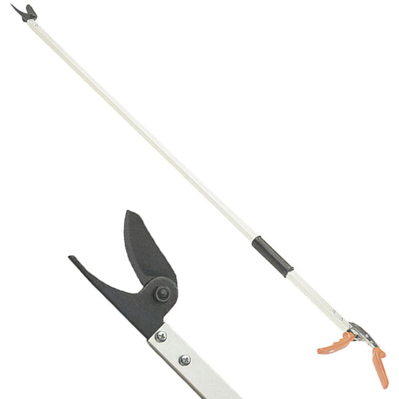 Perche taille Papillon manche en aluminium 2 m