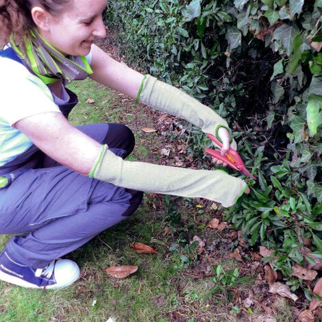 Manchette de jardinage