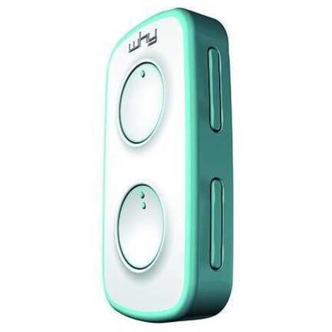 VIGOR Mando a distancia multifrecuencia Mini Why-Evo 2+2 Esmeralda